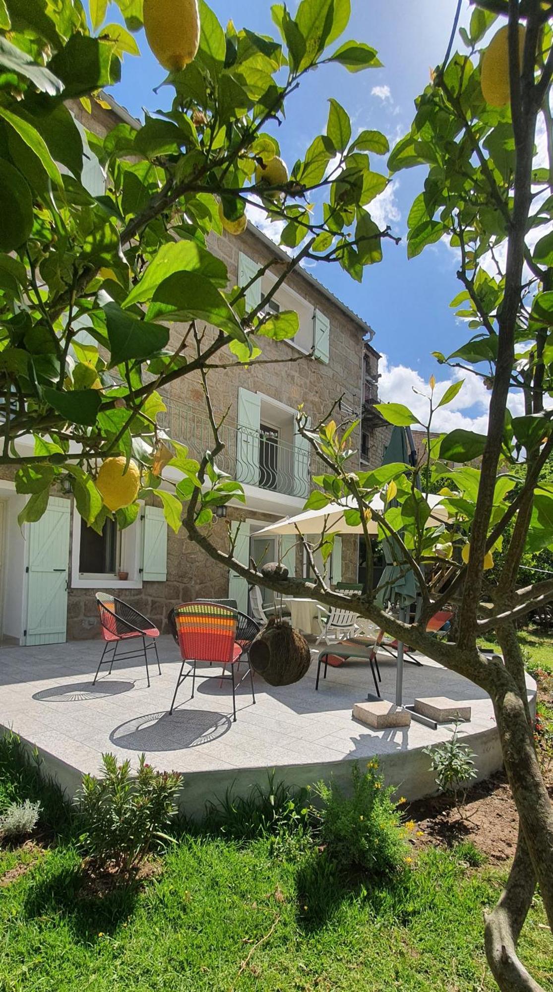 Charmant appartement en Rez de jardin Sartène Buitenkant foto